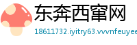 东奔西窜网